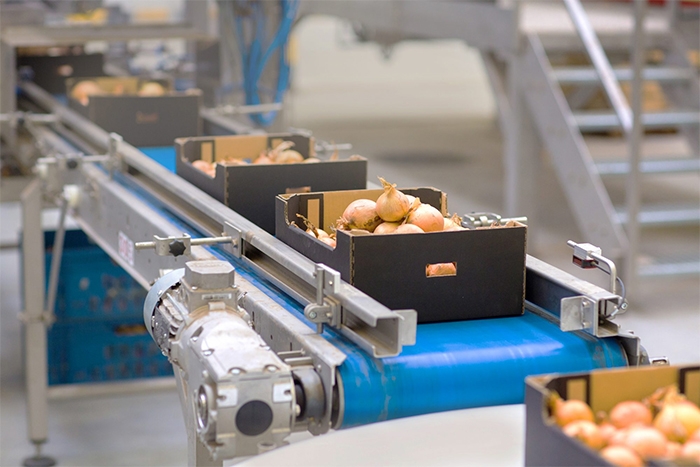 4 Trends for the food and beverage industry