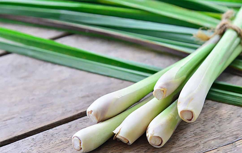 7 unexpected benefits of lemongrass that people should know