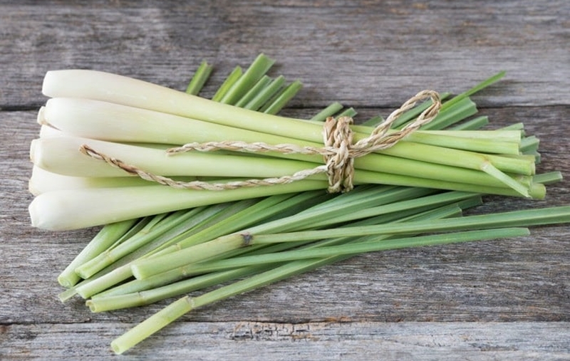 7 unexpected benefits of lemongrass that people should know