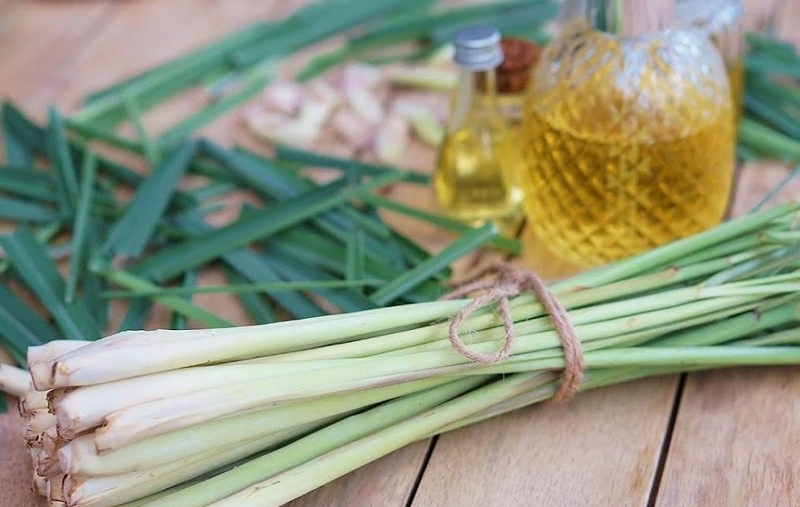 7 unexpected benefits of lemongrass that people should know