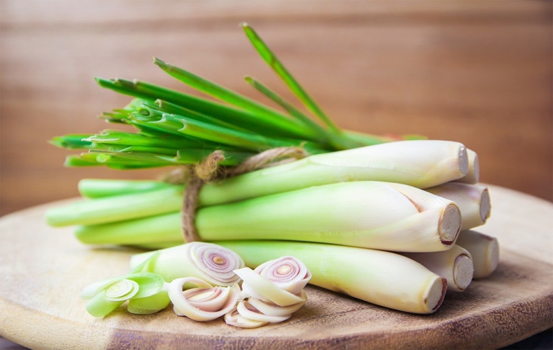 7 unexpected benefits of lemongrass that people should know