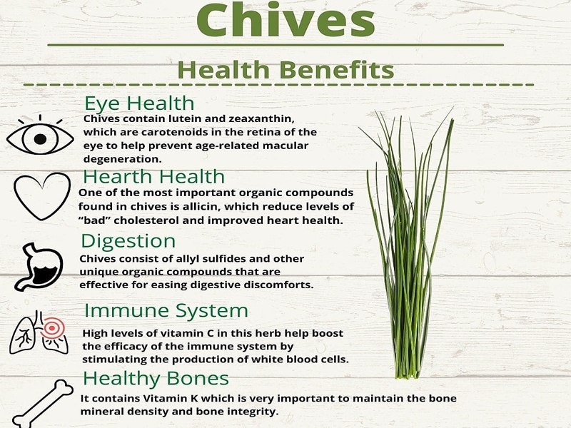 Amazing health benfits of chives