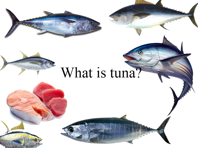 Get health benefits from canned tuna 
