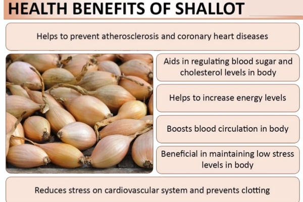 What Are Shallots? Nutrition and Benefits