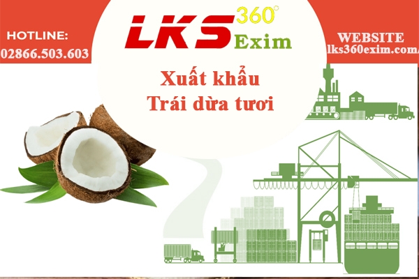 Xuất khẩu Trái dừa tươi - LKS 360 EXIM 